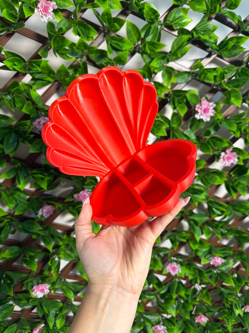 Seashell Jewelry/Trinket Organizer