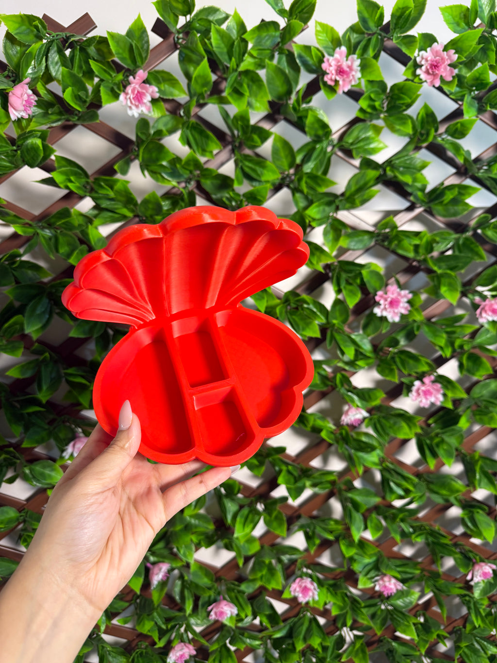 Seashell Jewelry/Trinket Organizer