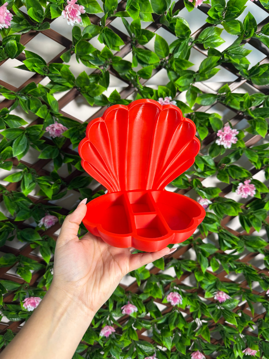 Seashell Jewelry/Trinket Organizer