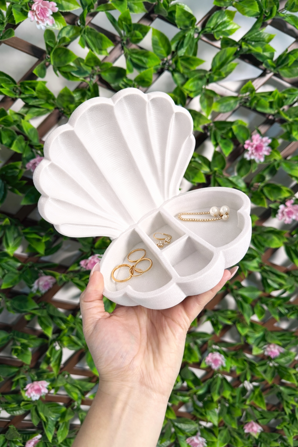 Seashell Jewelry/Trinket Organizer