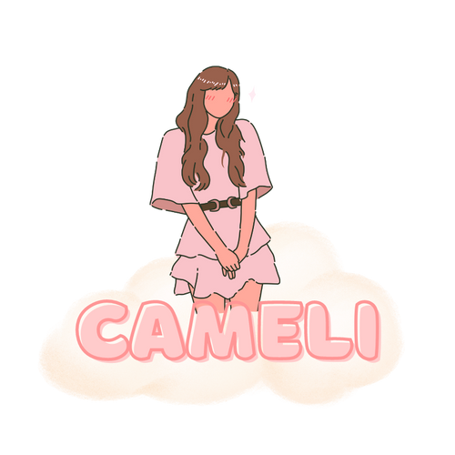 CAMELI LLC