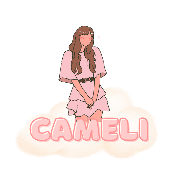 CAMELI LLC